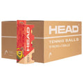 Head Stage 3 – Coffret de 16 tubes