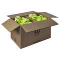 Wilson Triniti Club – Coffret de 24 tubes