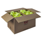 Wilson Triniti Club – Coffret de 24 tubes