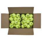 Wilson Triniti Club – Coffret de 24 tubes - vue 2